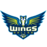 达拉斯飞翼logo