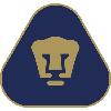  美洲狮logo