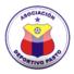  帕斯托logo