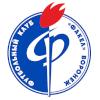  沃罗涅日火炬logo